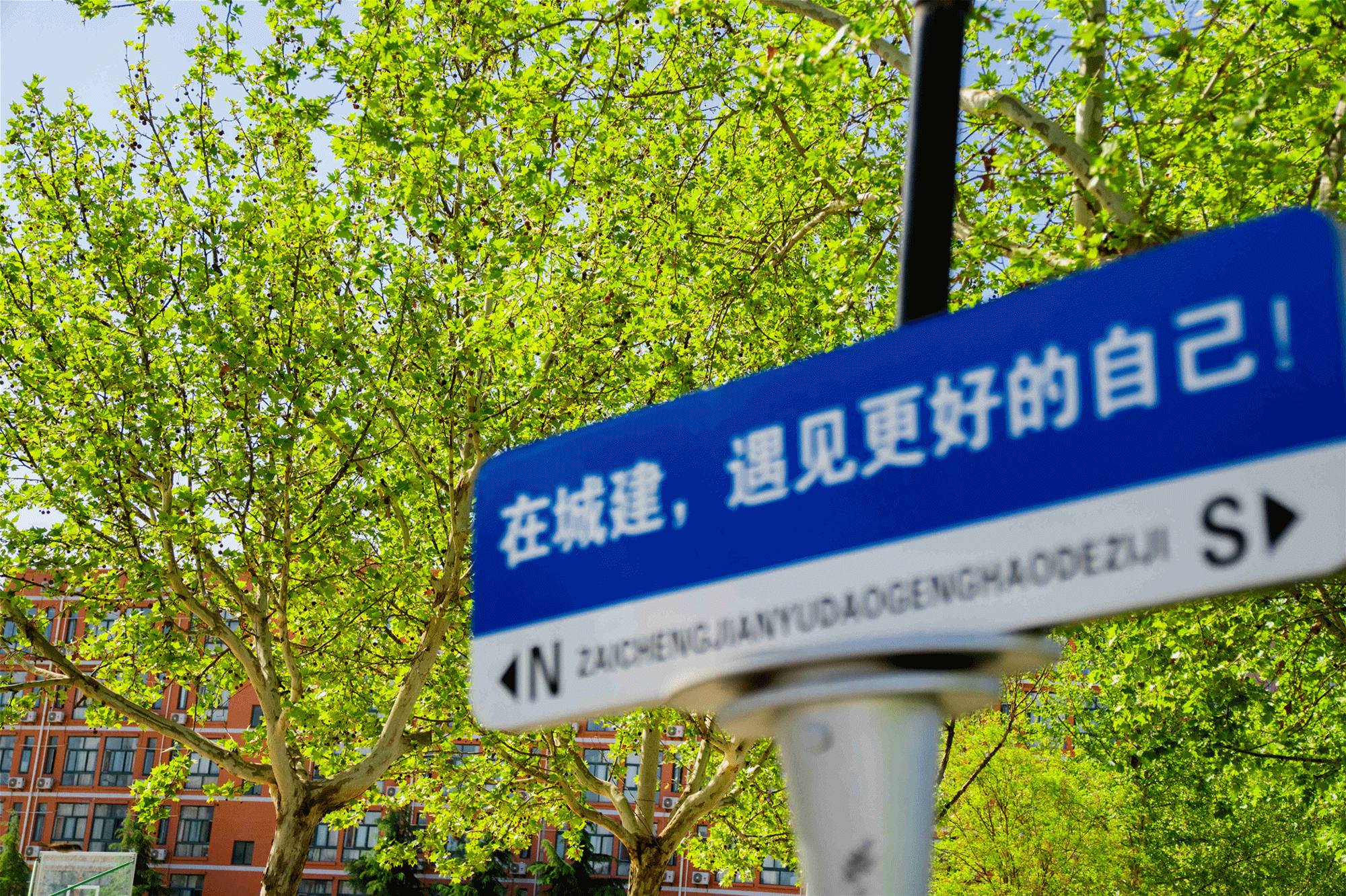 以綠色發(fā)展理念 賦能育人創(chuàng)新——金葉科教集團教育事業(yè)兩校生態(tài)環(huán)境建設(shè)獲省級認(rèn)可 以綠色發(fā)展理念 賦能育人創(chuàng)新——金葉科教集團教育事業(yè)兩校生態(tài)環(huán)境建設(shè)獲省級認(rèn)可