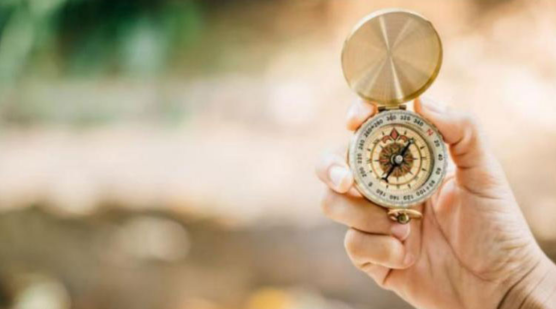 《證券時報》報道 | 陜西金葉：前三季度雙主業(yè)穩(wěn)健發(fā)展 多元布局積蓄成長新動能